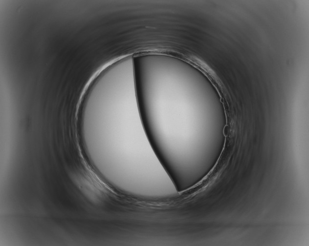 X0000084540787200703021442