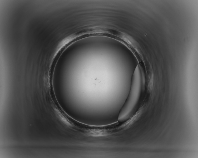 X0000084540789200703021442