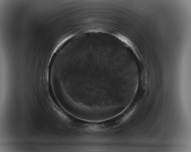 X0000084540790200703021442