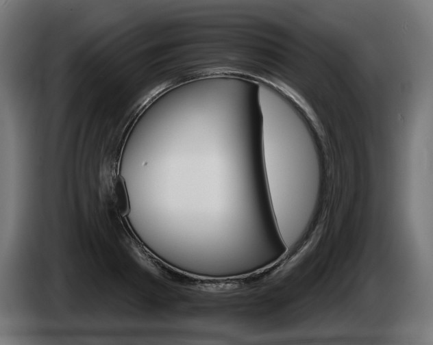 X0000084540793200703021442