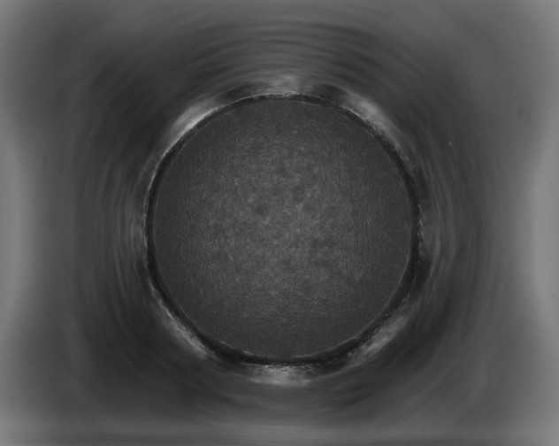 X0000084540794200703021442