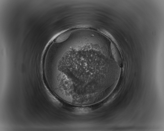 X0000084540795200703021442