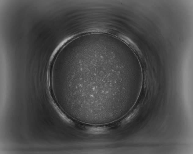 X0000084540796200703021442