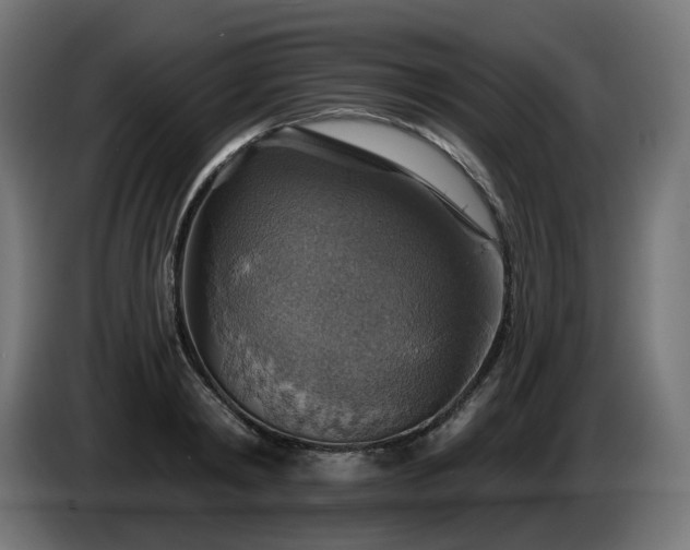 X0000084540798200703021442