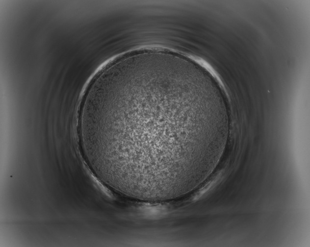 X0000084540799200703021442