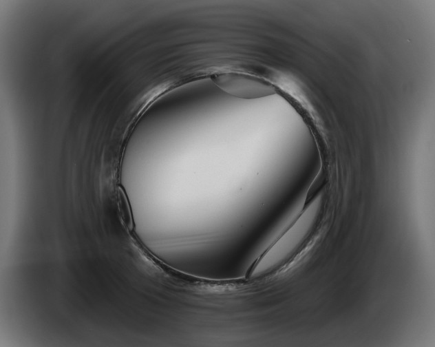 X0000084540801200703021442