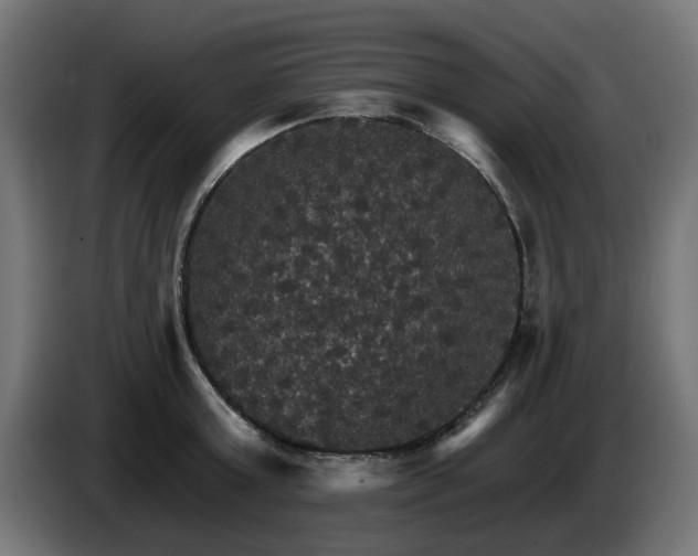 X0000084540803200703021442