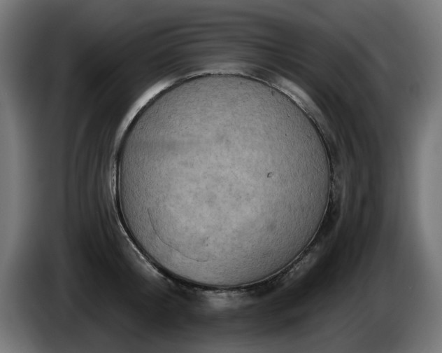 X0000084540804200703021442