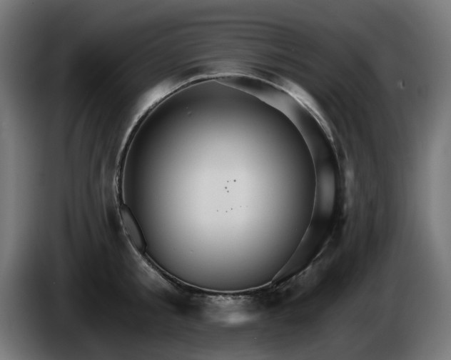 X0000084540805200703021442