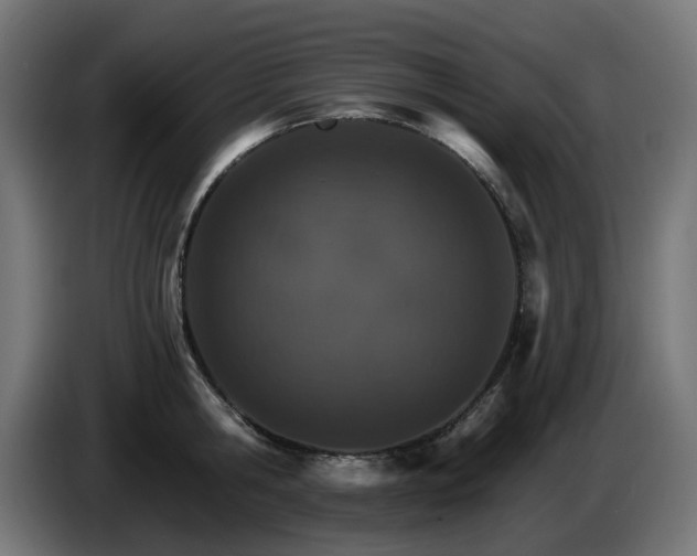 X0000084540806200703021442