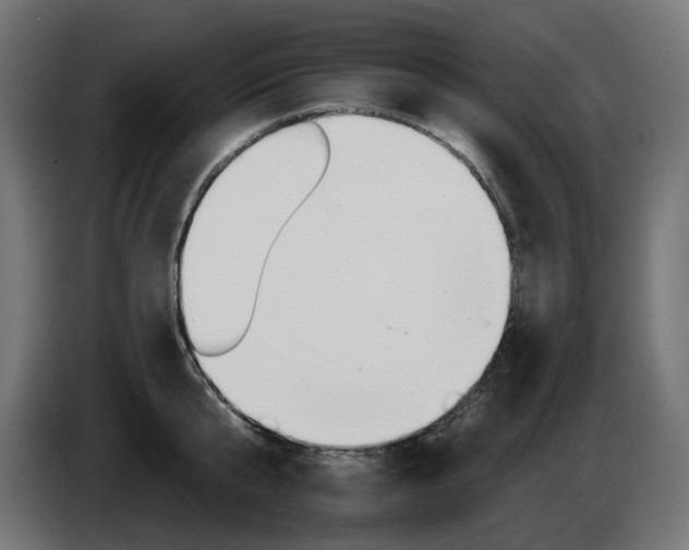 X0000084540807200703021442