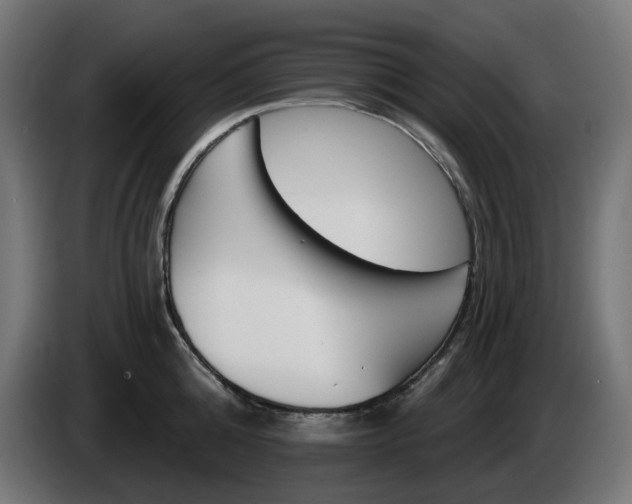 X0000084540808200703021442