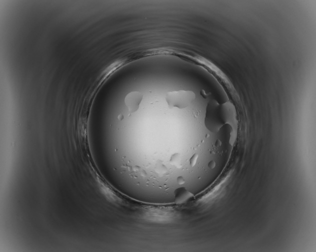 X0000084540809200703021442