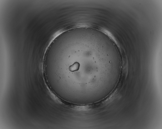 X0000084540810200703021442