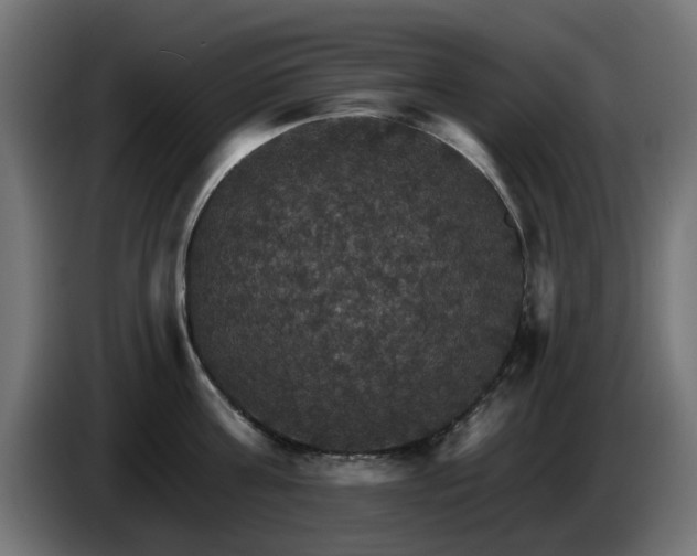 X0000084540811200703021442