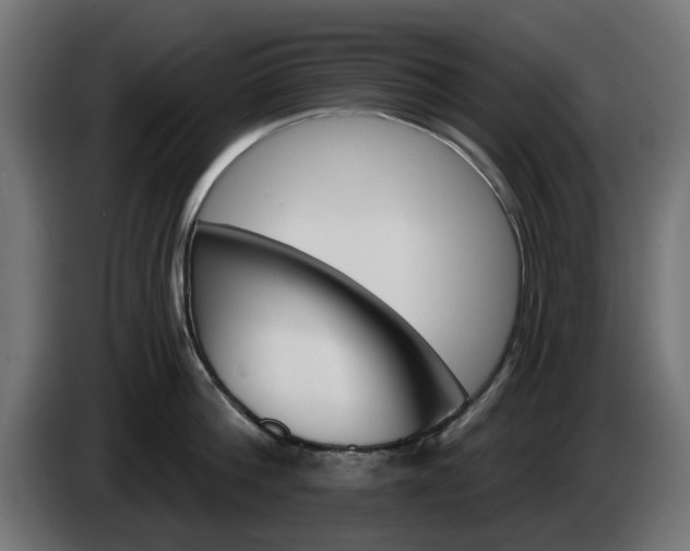 X0000084540812200703021442