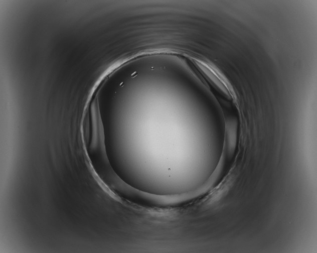 X0000084540813200703021442