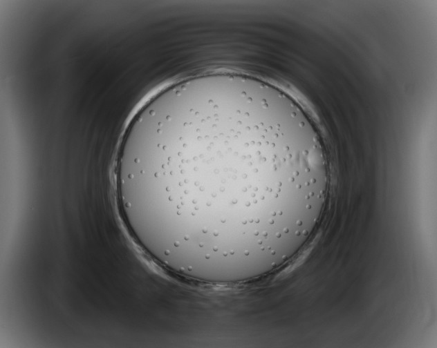 X0000084540814200703021442