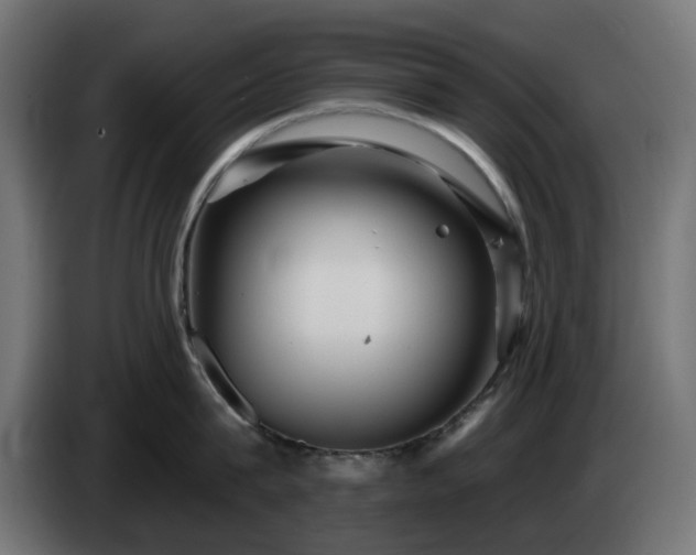 X0000084540815200703021442