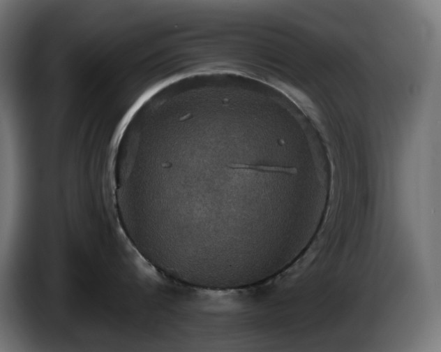 X0000084540816200703021442