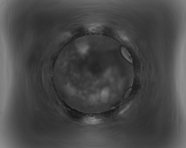 X0000084540817200703021441