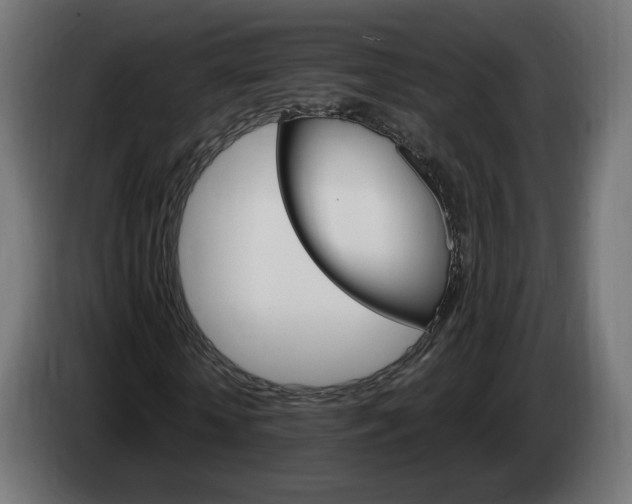 X0000084540818200703021441