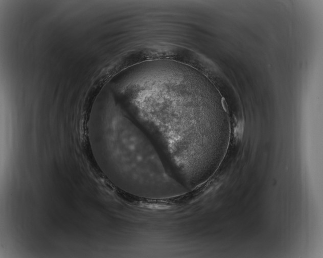 X0000084540819200703021441