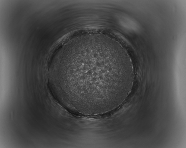 X0000084540821200703021441