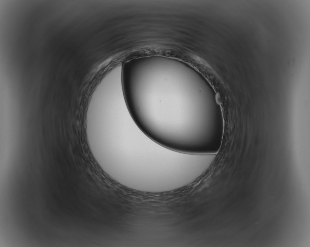 X0000084540822200703021441