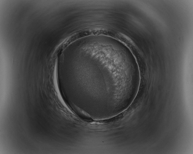 X0000084540823200703021441