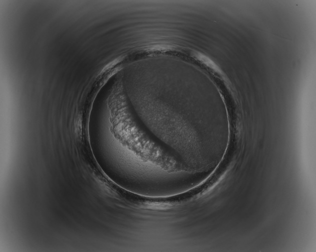 X0000084540825200703021441