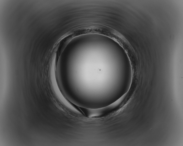 X0000084540826200703021442