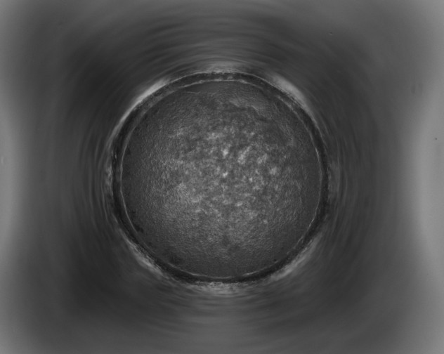 X0000084540827200703021442