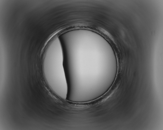 X0000084540829200703021442