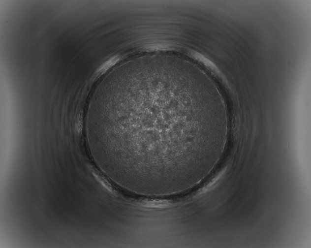 X0000084540833200703021442