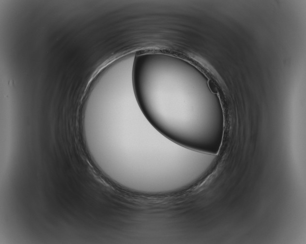 X0000084540834200703021442