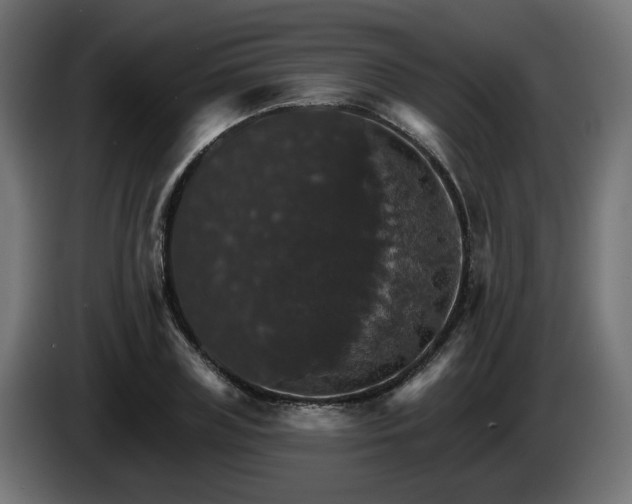 X0000084540835200703021442