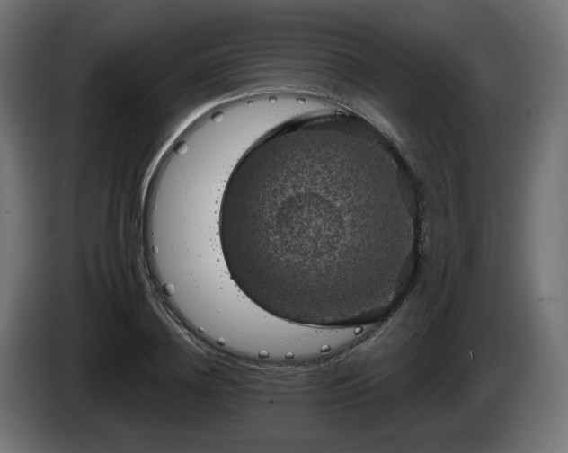 X0000084540836200703021442