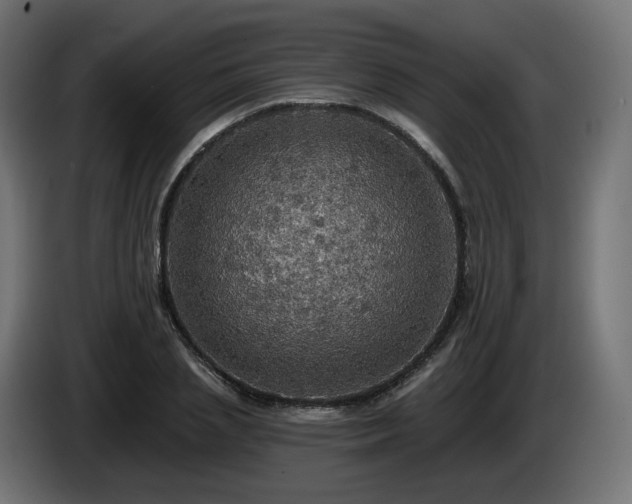 X0000084540837200703021442