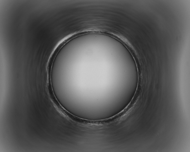 X0000084540838200703021442