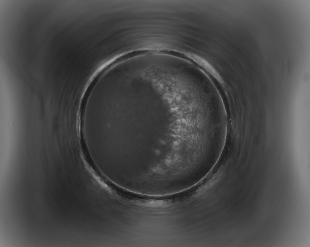 X0000084540839200703021442