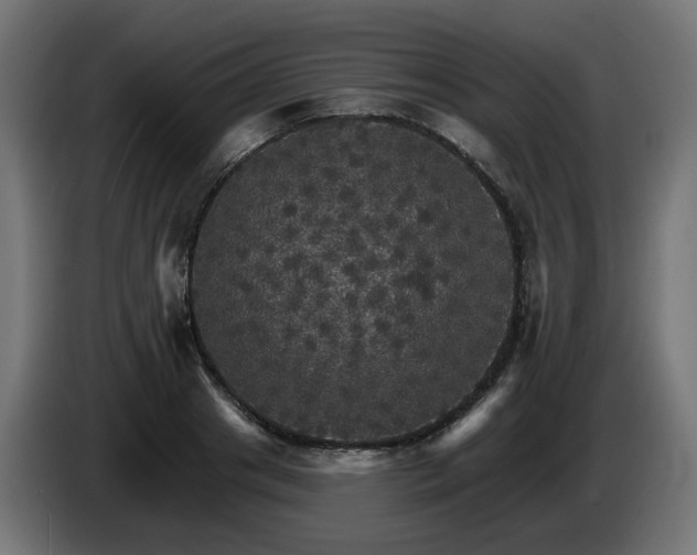 X0000084540841200703021442