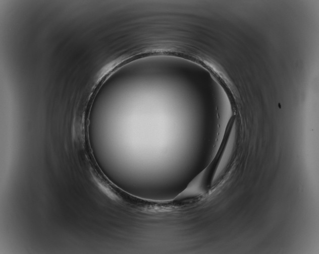 X0000084540842200703021442