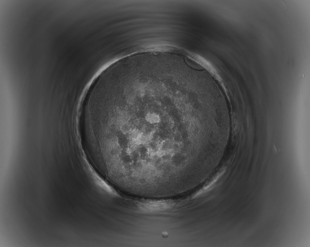 X0000084540843200703021442