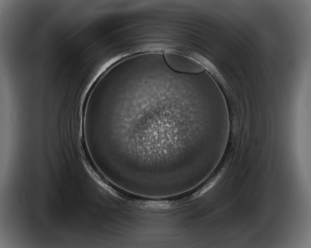 X0000084540844200703021442