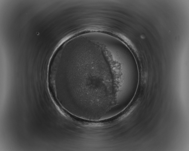 X0000084540845200703021442