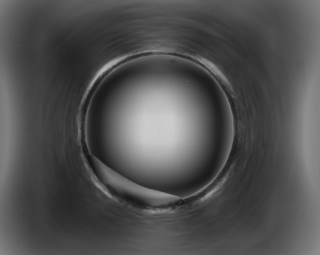 X0000084540846200703021442