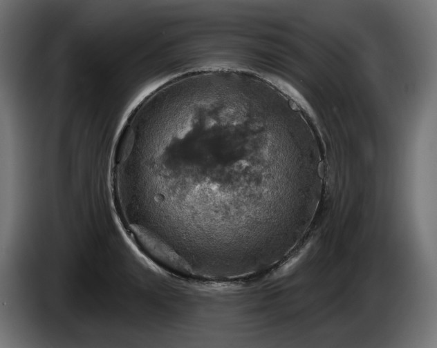 X0000084540847200703021442