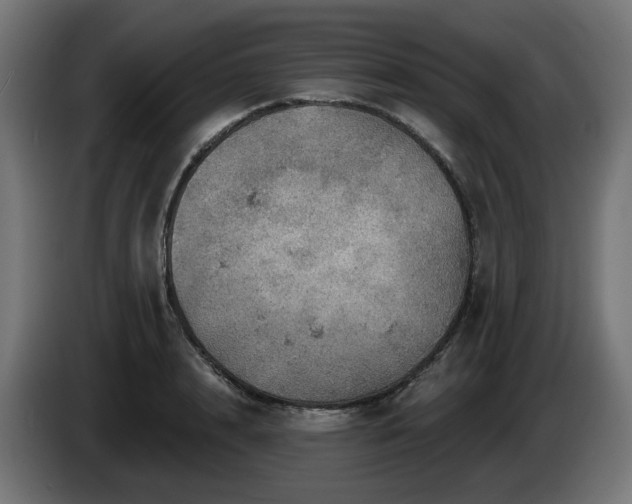 X0000084540848200703021442