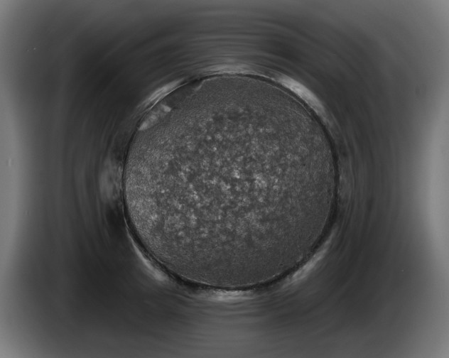 X0000084540849200703021442